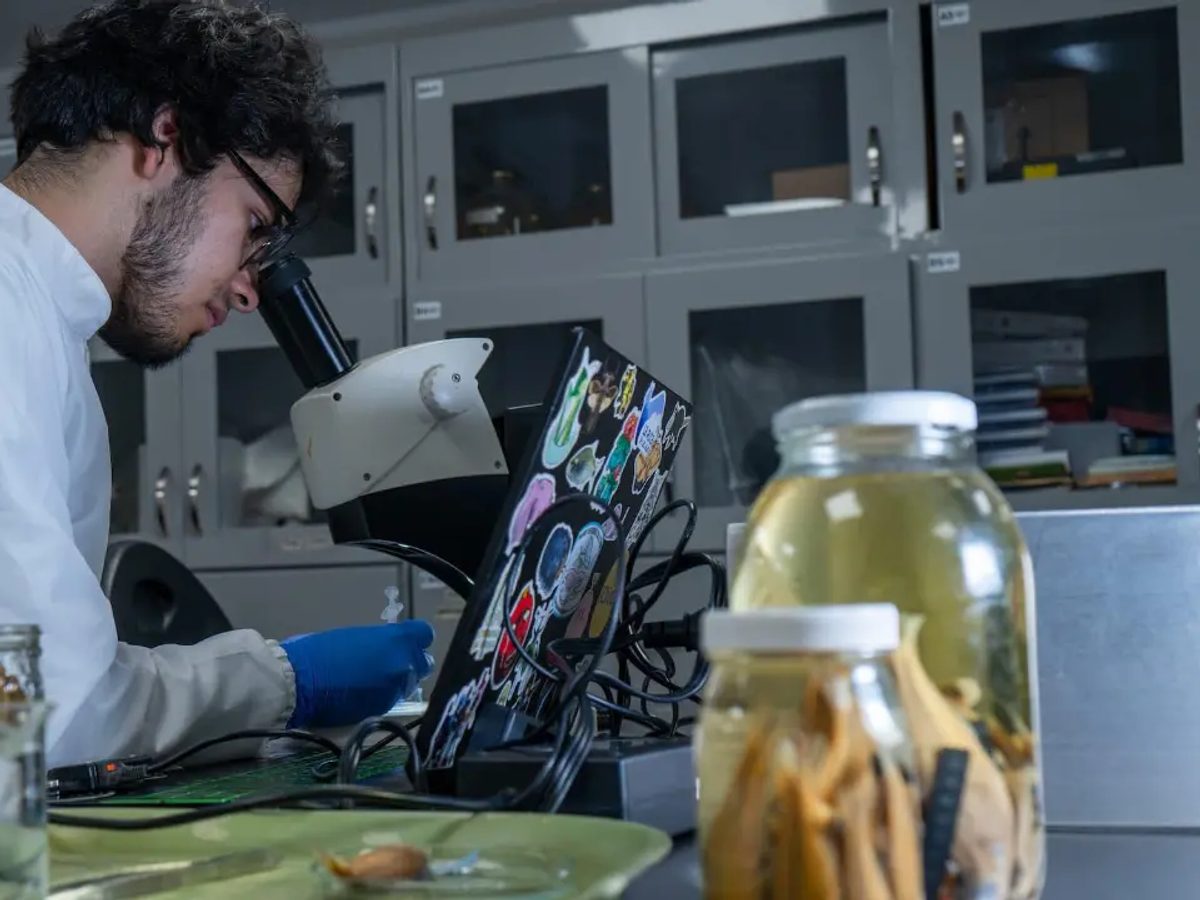 Muestra científica de ADN relacionada con peces de río.