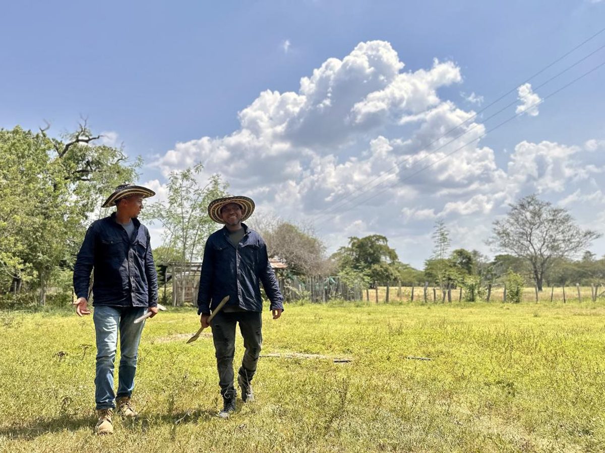 Personas restaurando un bosque seco en una zona rural del Cesar.